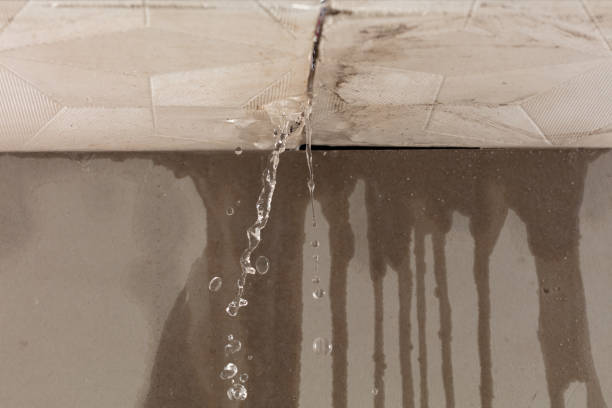 Professional Burst Pipe Cleanup technician working in Irene, SD
